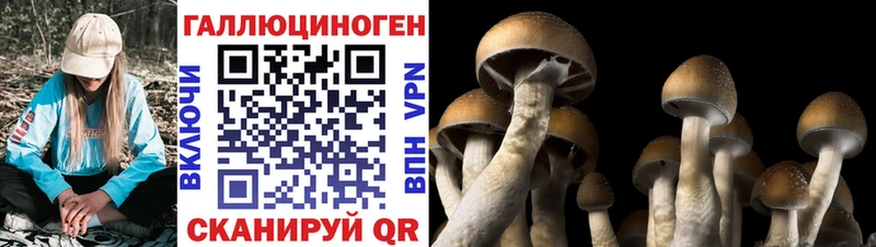 Галлюциногенные грибы GOLDEN TEACHER  Красноармейск 